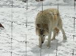 004_2009-0214-1227-38-JoeA.jpg